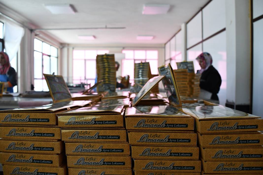 Sakarya Nehrinin suladığı topraklarda üretiliyor. Katar, ABD ve Almanya'ya gönderiliyor 5